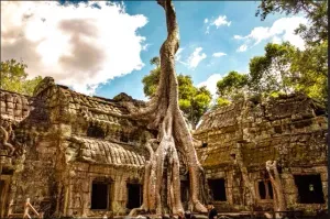 https://api.holicay.com/uploads/small_24c49e66-webp-Ta prohm.webp